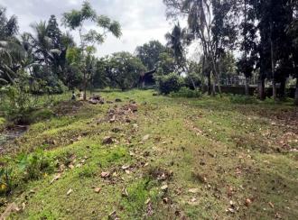 Commercial Land for Sale in Kottayam, Kottayam town, Illickal