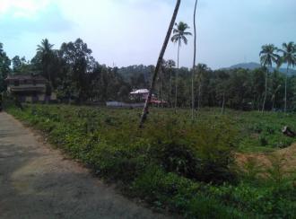 Residential Land for Sale in Pathanamthitta, Konni, Poovanpara