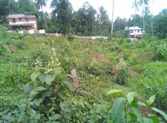 Residential Land for Sale in Pathanamthitta, Konni, Poovanpara