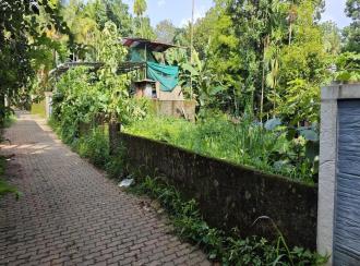 Residential Land for SaleErnakulam, Chottanikkara, Ambadimala