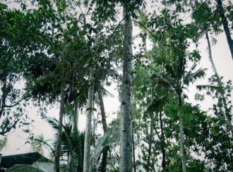 Residential Land for Sale in Trivandrum, Thiruvananthapuram, Maruthoorkadavu