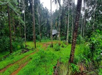 Residential Land for SaleKannur, Alakode, Therthalli