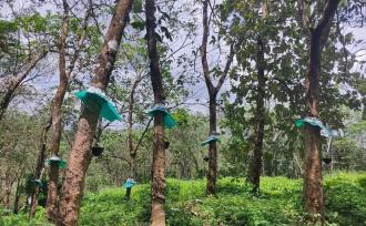 Agricultural Land for Sale in Kollam, Anchal, Yeroor