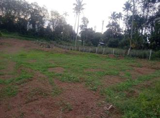 Residential Land for SalePathanamthitta, Thiruvalla, Kunnamthanam