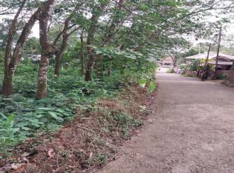 Residential Land for Sale in Ernakulam, Muvattupuzha, Marady