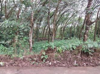 Residential Land for SaleErnakulam, Muvattupuzha, Marady