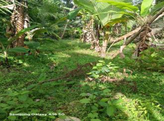 Residential Land for SalePathanamthitta, Thiruvalla, Nedumpuram