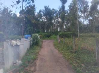 Residential Land for SaleWayanad, Pulpally, Pulpally