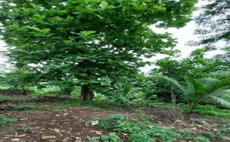 വാസയോഗ്യമായ ഭൂമി വില്പനയ്ക്ക് Kollam, Pathanapuram, Piravanthoor, Vettithitta