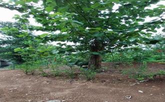 വാസയോഗ്യമായ ഭൂമി വില്പനയ്ക്ക് Kollam, Pathanapuram, Piravanthoor, Vettithitta