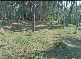 Residential Land for SaleKannur, Thalassery, Kathiroor
