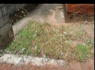 Residential Land for SaleTrivandrum, Thiruvananthapuram, Pravachambalam