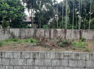 Residential Land for SaleErnakulam, Tripunithura, Hill palace