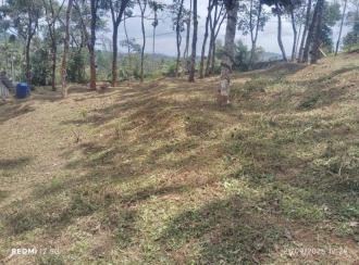 Residential Land for SaleWayanad, Kalpetta, Kottathara