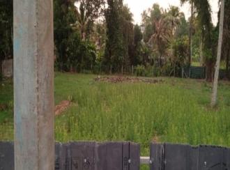 Commercial Land for Sale in Alleppey, Haripad, Nangiarkulangara