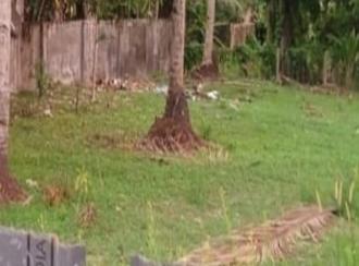 Commercial Land for Sale in Alleppey, Haripad, Nangiarkulangara