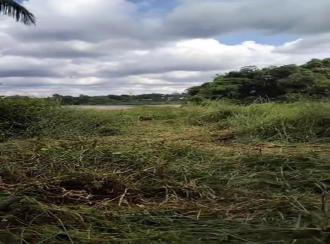 Industrial Land for Sale in Ernakulam, Aluva, Aluva east