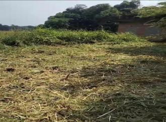 Industrial Land for Sale in Ernakulam, Aluva, Aluva east