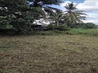 Industrial Land for Sale in Ernakulam, Aluva, Aluva east