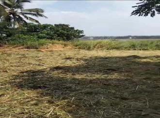 Industrial Land for Sale in Ernakulam, Aluva, Aluva east