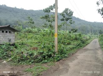 Residential Land for SaleKottayam, Erattupetta, Edamaruku 