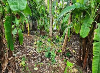 Commercial Building for Sale in Kottayam, Erattupetta, Aruvithura