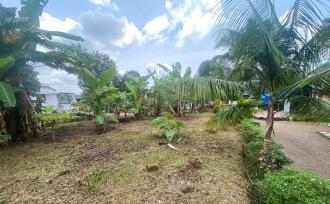 Residential Land, Ernakulam