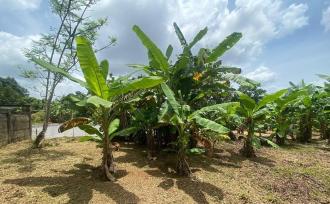 Residential Land for Sale in Ernakulam, Mulanthuruthy, Mulanthuruthy