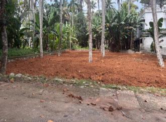 Residential Land for Sale in Trivandrum, Poojappura, Mudavanmugal