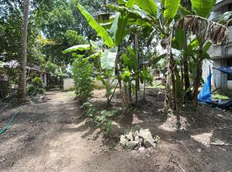 Residential Land for SaleThrissur, Thrissur, Kandassankadavu