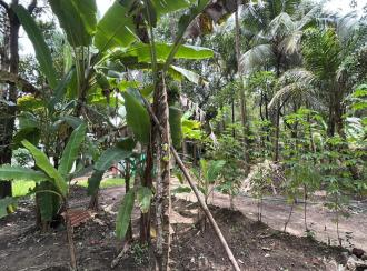 Residential Land for Sale in Thrissur, Thrissur, Kandassankadavu