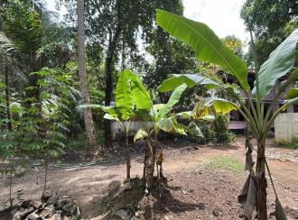 Residential Land for Sale in Thrissur, Thrissur, Kandassankadavu