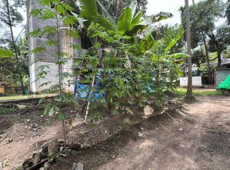 Residential Land for Sale in Thrissur, Thrissur, Kandassankadavu