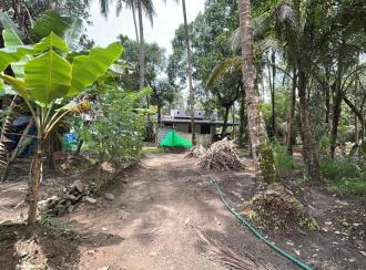Residential Land for Sale in Thrissur, Thrissur, Kandassankadavu