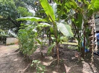 Residential Land for Sale in Thrissur, Thrissur, Kandassankadavu