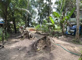 Residential Land for Sale in Thrissur, Thrissur, Kandassankadavu