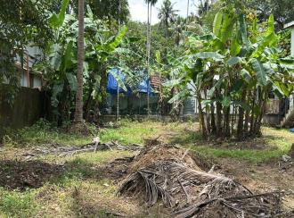 Residential Land for Sale in Thrissur, Thrissur, Kandassankadavu