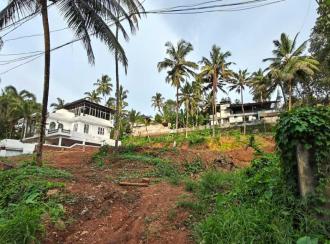 Residential Land for Sale in Pathanamthitta, Mallappally, Mallapally