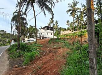 Residential Land for Sale in Pathanamthitta, Mallappally, Mallapally
