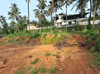Residential Land for Sale in Pathanamthitta, Mallappally, Mallapally