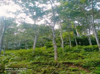 Agricultural Land for SalePathanamthitta, Chittar, Chittar