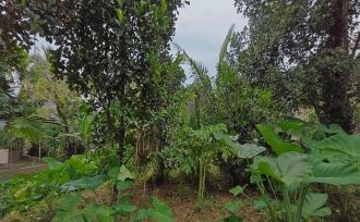 Residential Land for SalePathanamthitta, Konni, Konni