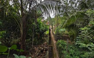 Residential Land for Sale in Pathanamthitta, Konni, Konni