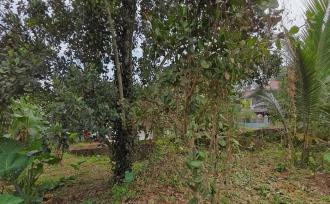 Residential Land for Sale in Pathanamthitta, Konni, Konni
