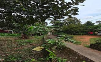 Residential Land for Sale in Pathanamthitta, Konni, Konni