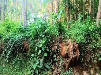 Residential Land, Malappuram