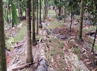 Residential Land for Sale in Ernakulam, Perumbavoor, Irigole