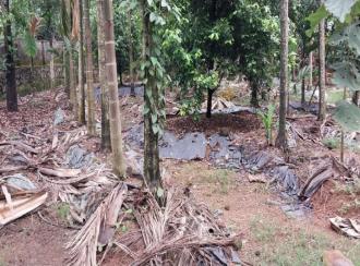 Residential Land for Sale in Ernakulam, Perumbavoor, Irigole