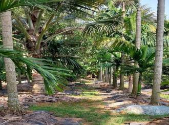 Residential Land for Sale in Ernakulam, Perumbavoor, Irigole