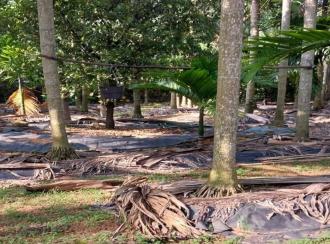 Residential Land for Sale in Ernakulam, Perumbavoor, Irigole